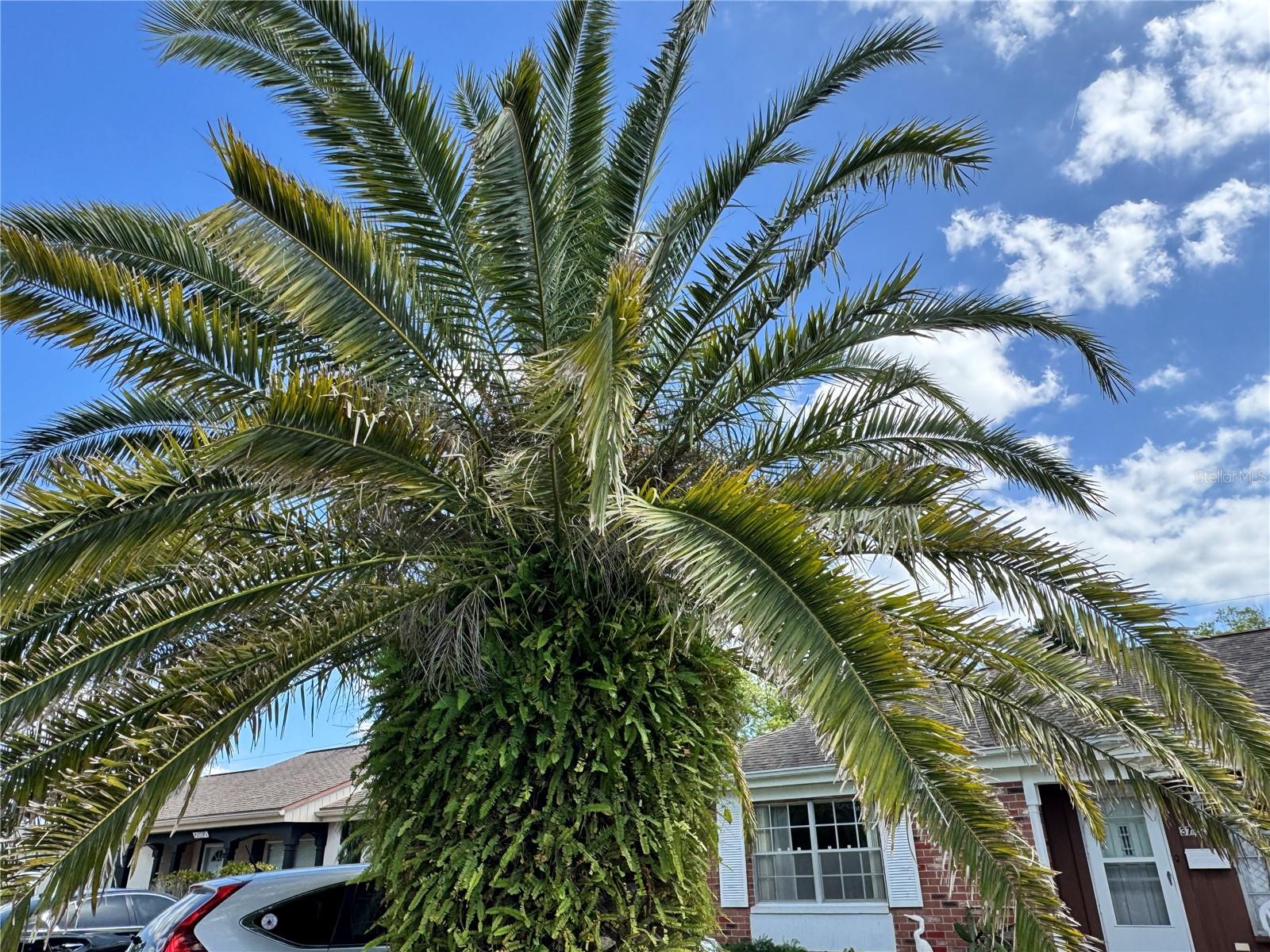 3722 HAVEN DR, NEW PORT RICHEY, FL, 34652