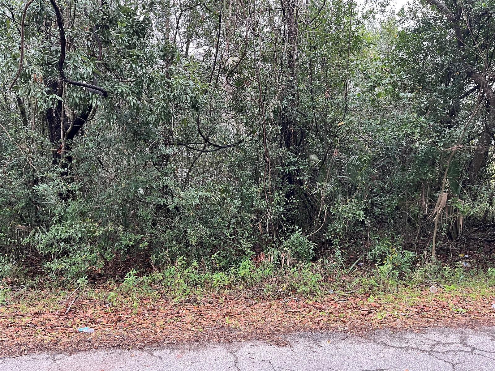 3705 SE 137TH LN, SUMMERFIELD, FL, 34491