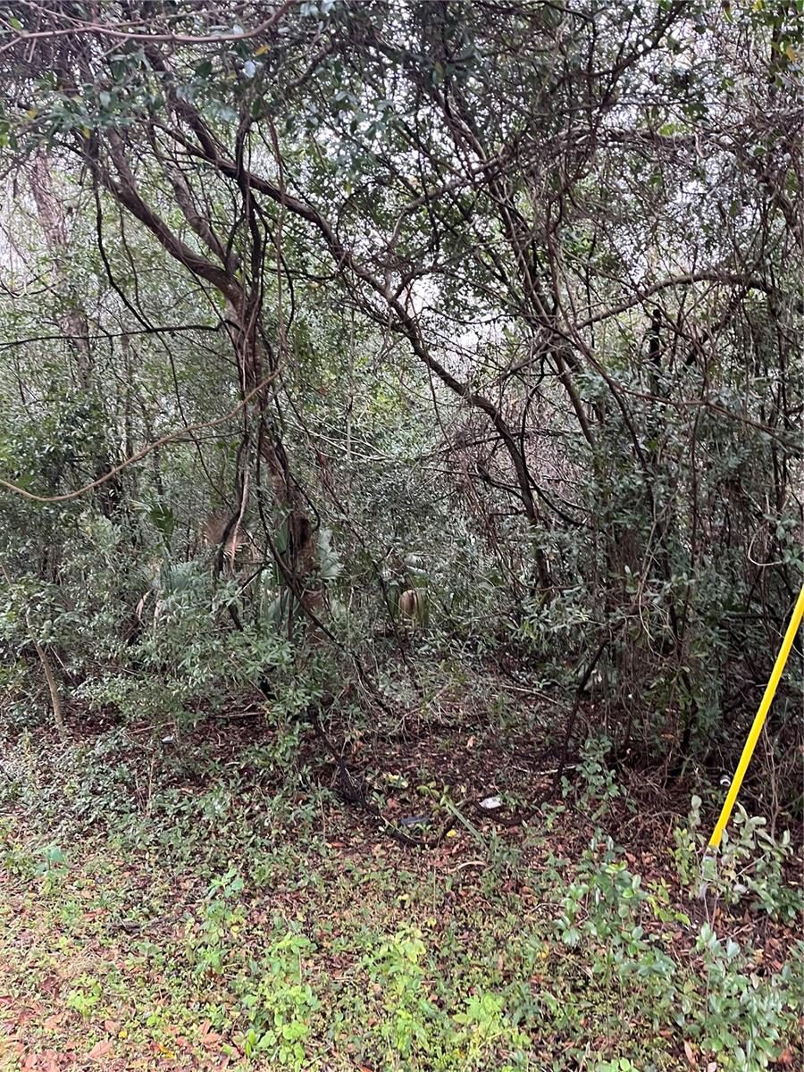 3705 SE 137TH LN, SUMMERFIELD, FL, 34491