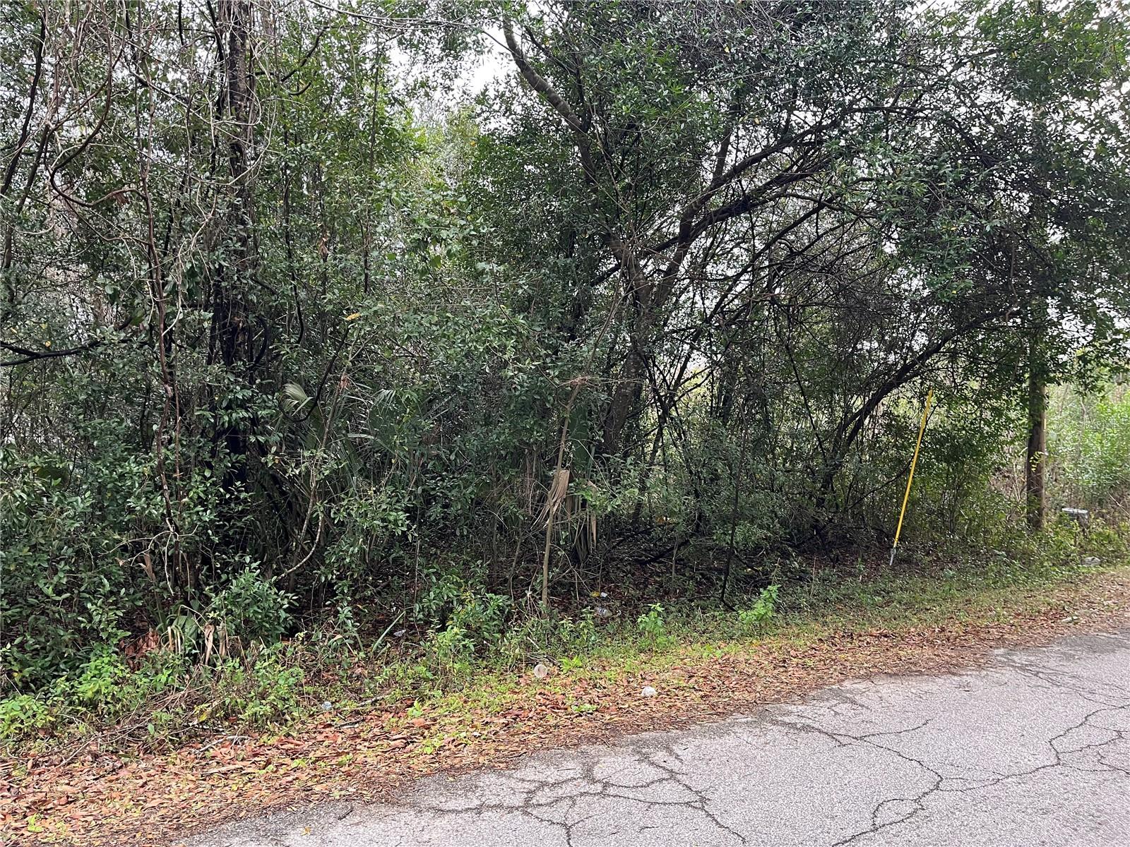 3705 SE 137TH LN, SUMMERFIELD, FL, 34491