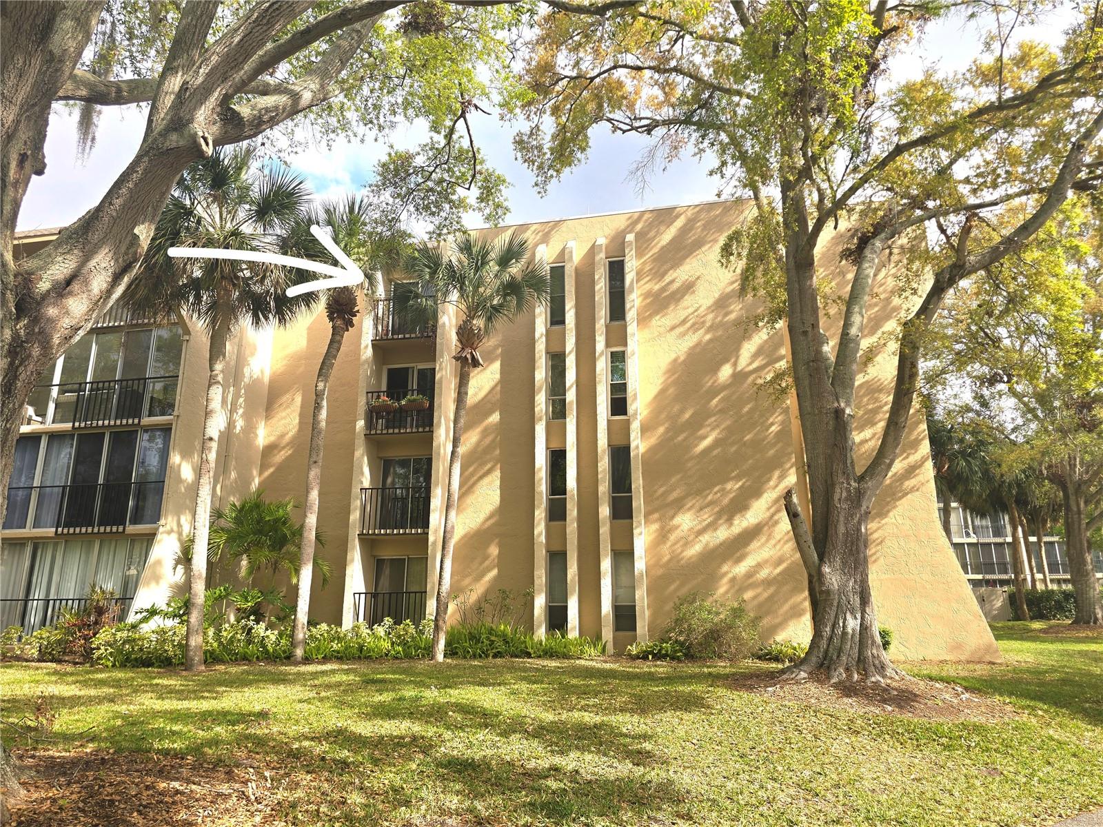 90 S HIGHLAND AVE #423, TARPON SPRINGS, FL, 34689