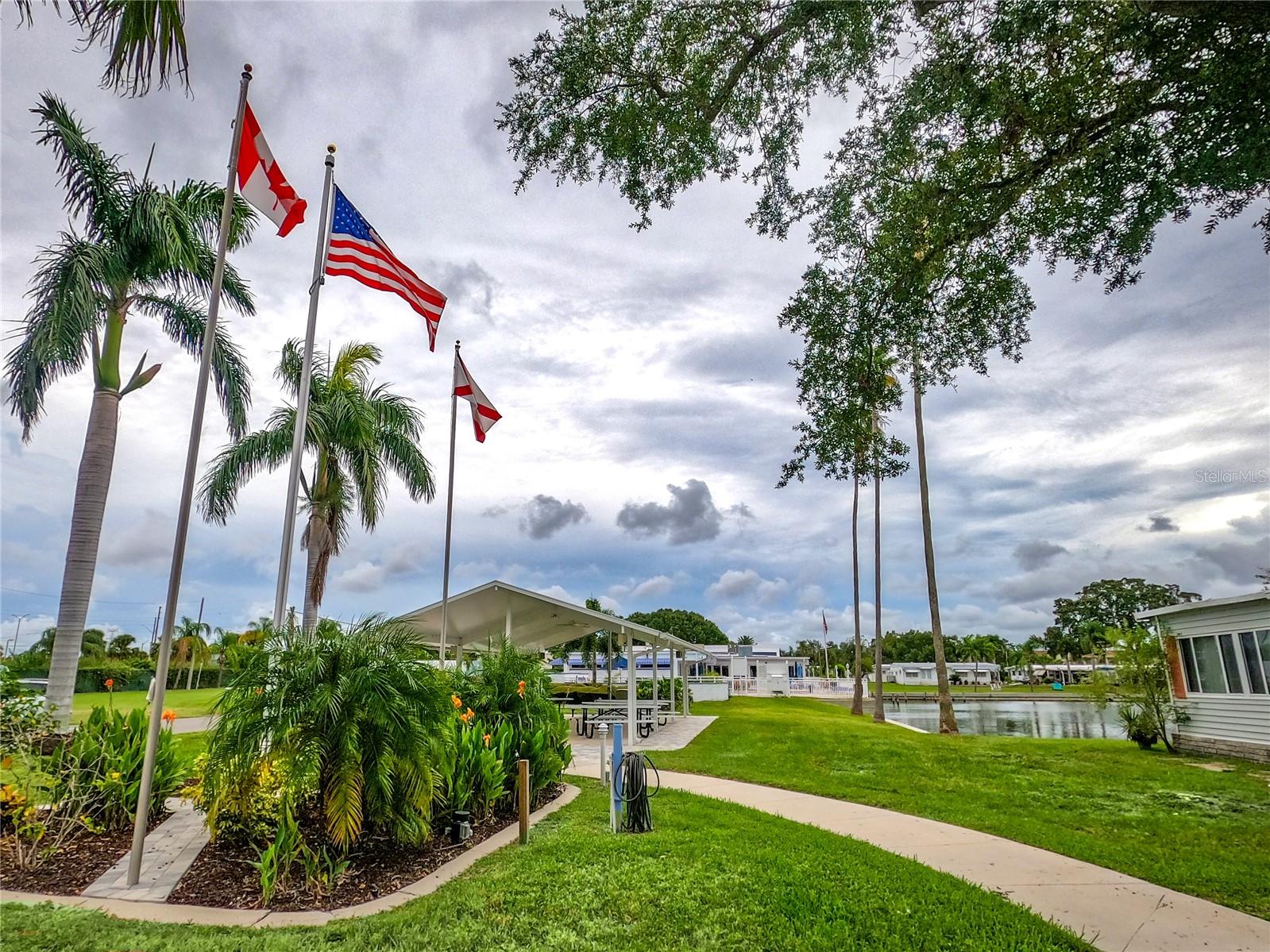 18675 US HIGHWAY 19 N #350, CLEARWATER, FL, 33764