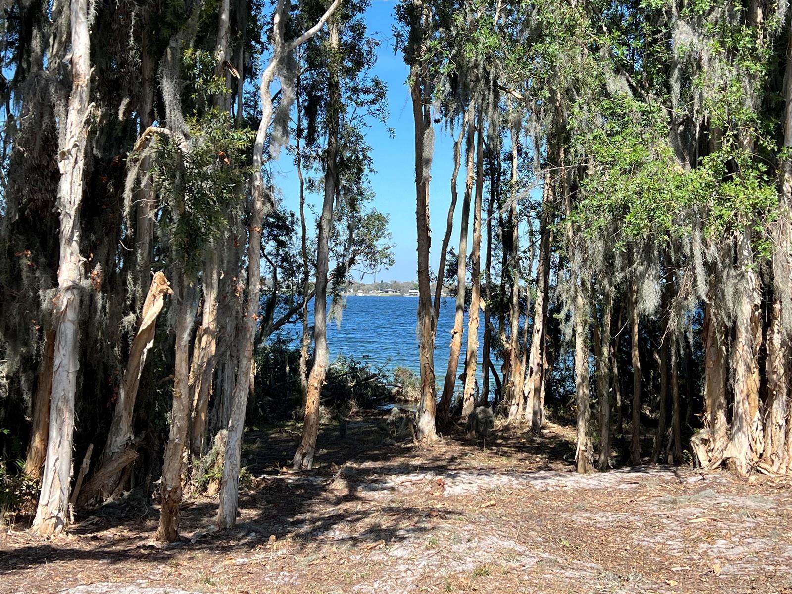 951 CRAFTSMAN RD, EAGLE LAKE, FL, 33839