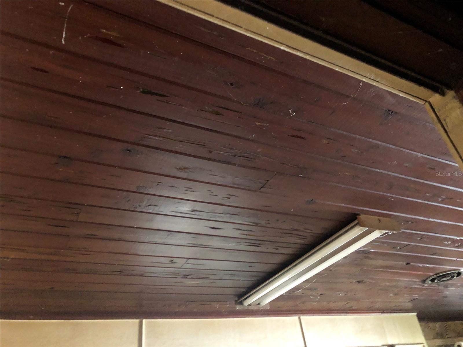 1820 E SITKA ST, TAMPA, FL, 33604