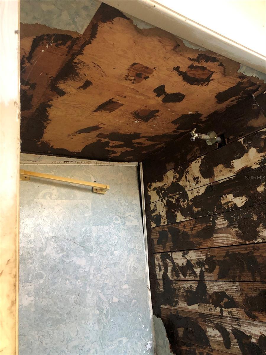 1820 E SITKA ST, TAMPA, FL, 33604