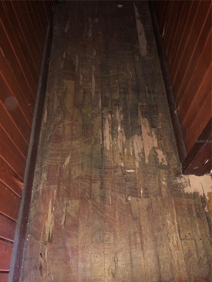 1820 E SITKA ST, TAMPA, FL, 33604