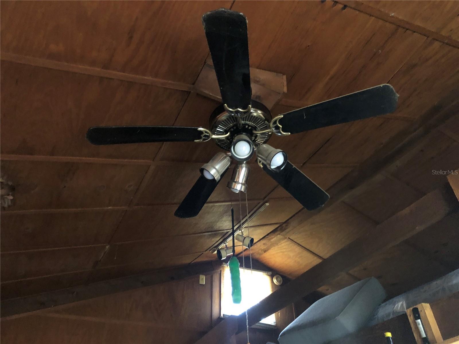 1820 E SITKA ST, TAMPA, FL, 33604