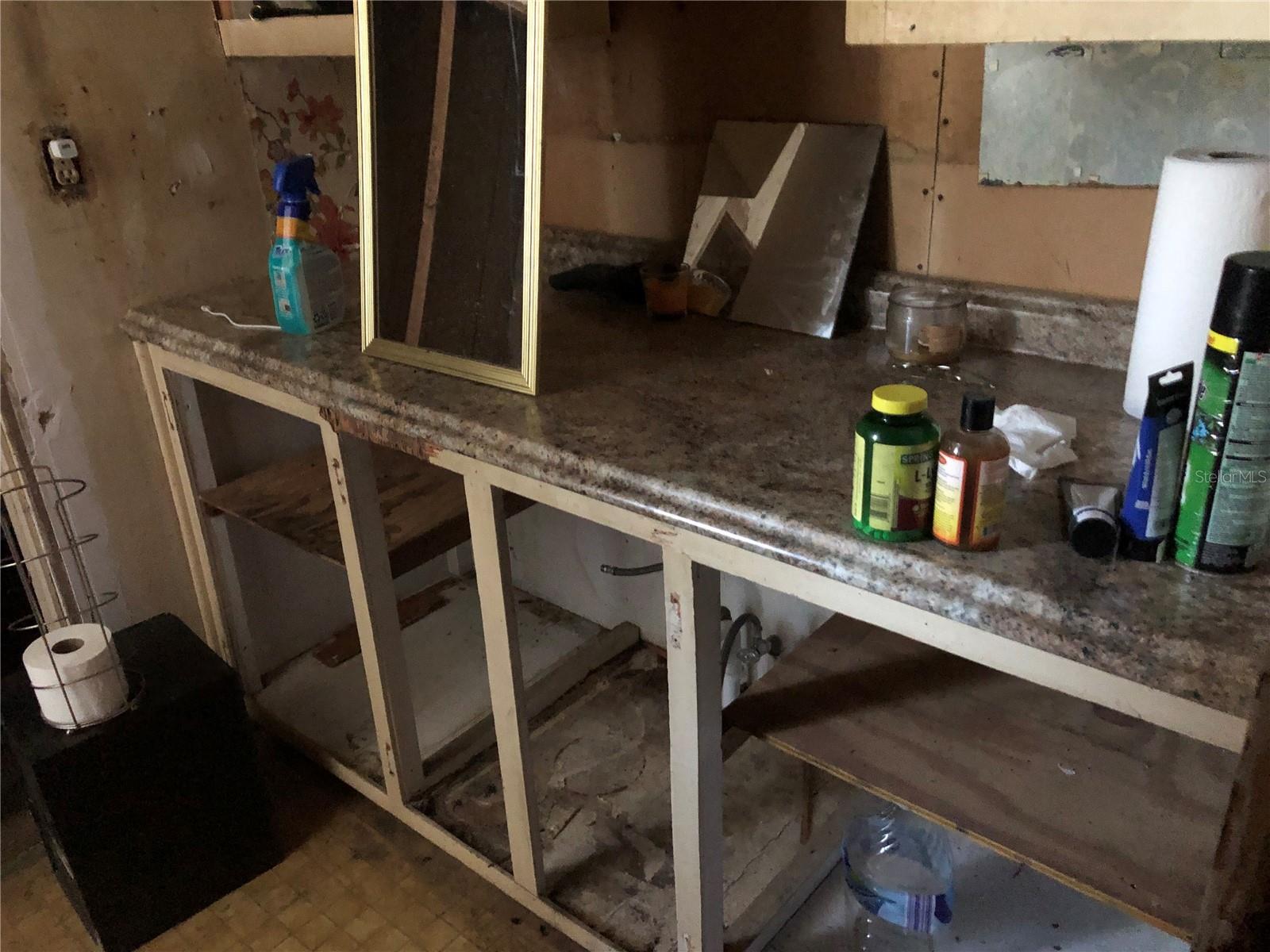 1820 E SITKA ST, TAMPA, FL, 33604