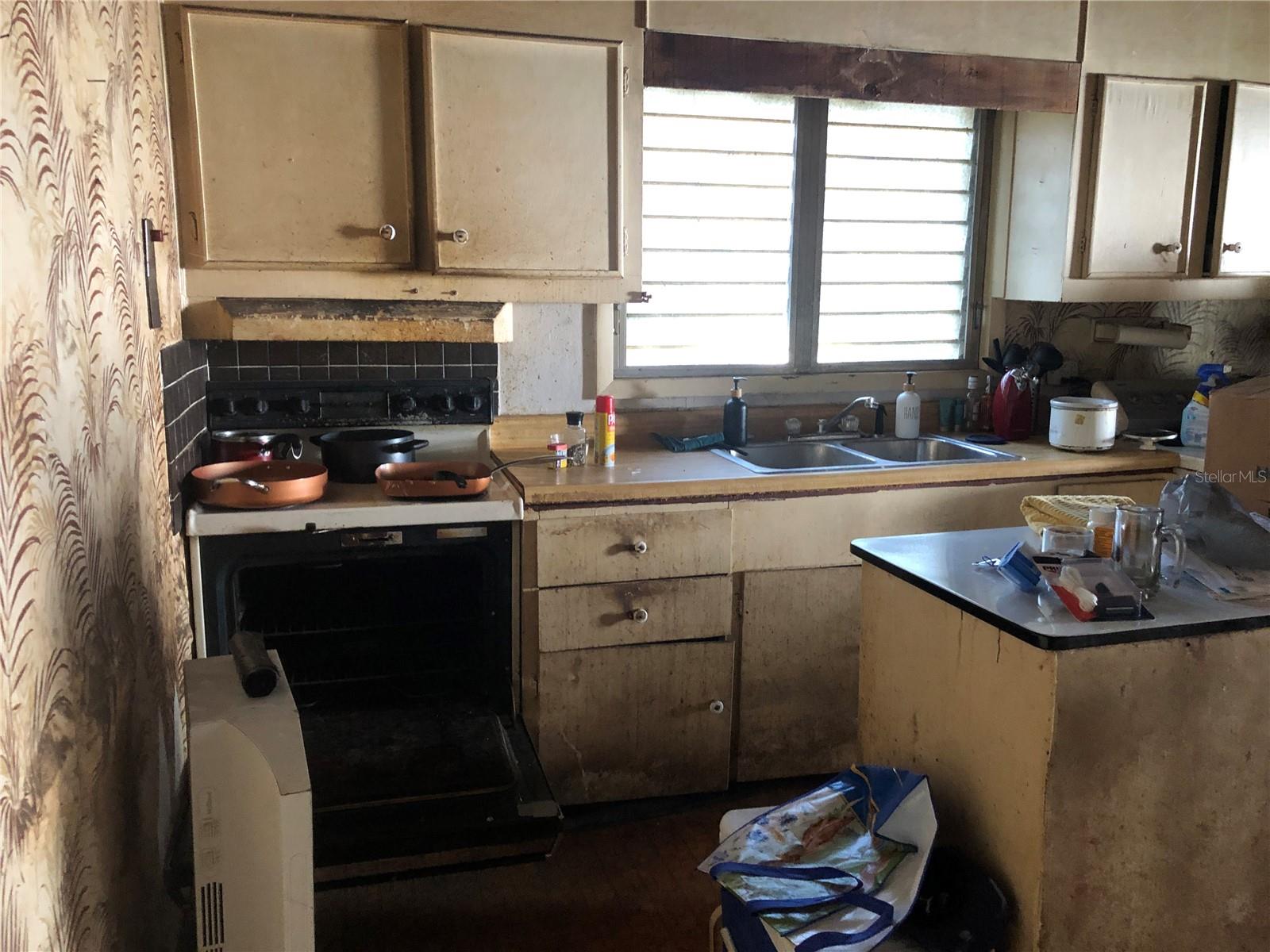 1820 E SITKA ST, TAMPA, FL, 33604