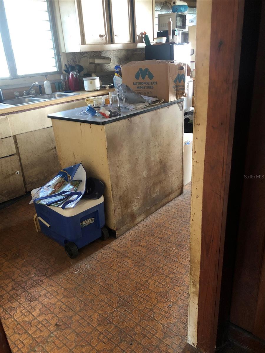 1820 E SITKA ST, TAMPA, FL, 33604