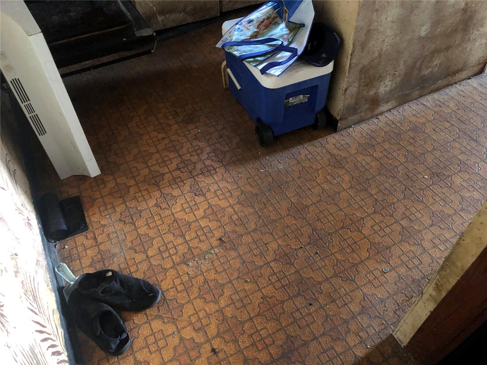 1820 E SITKA ST, TAMPA, FL, 33604