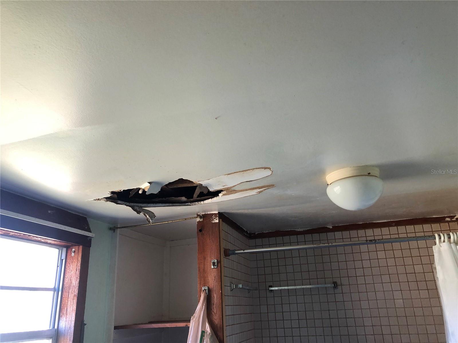 1820 E SITKA ST, TAMPA, FL, 33604