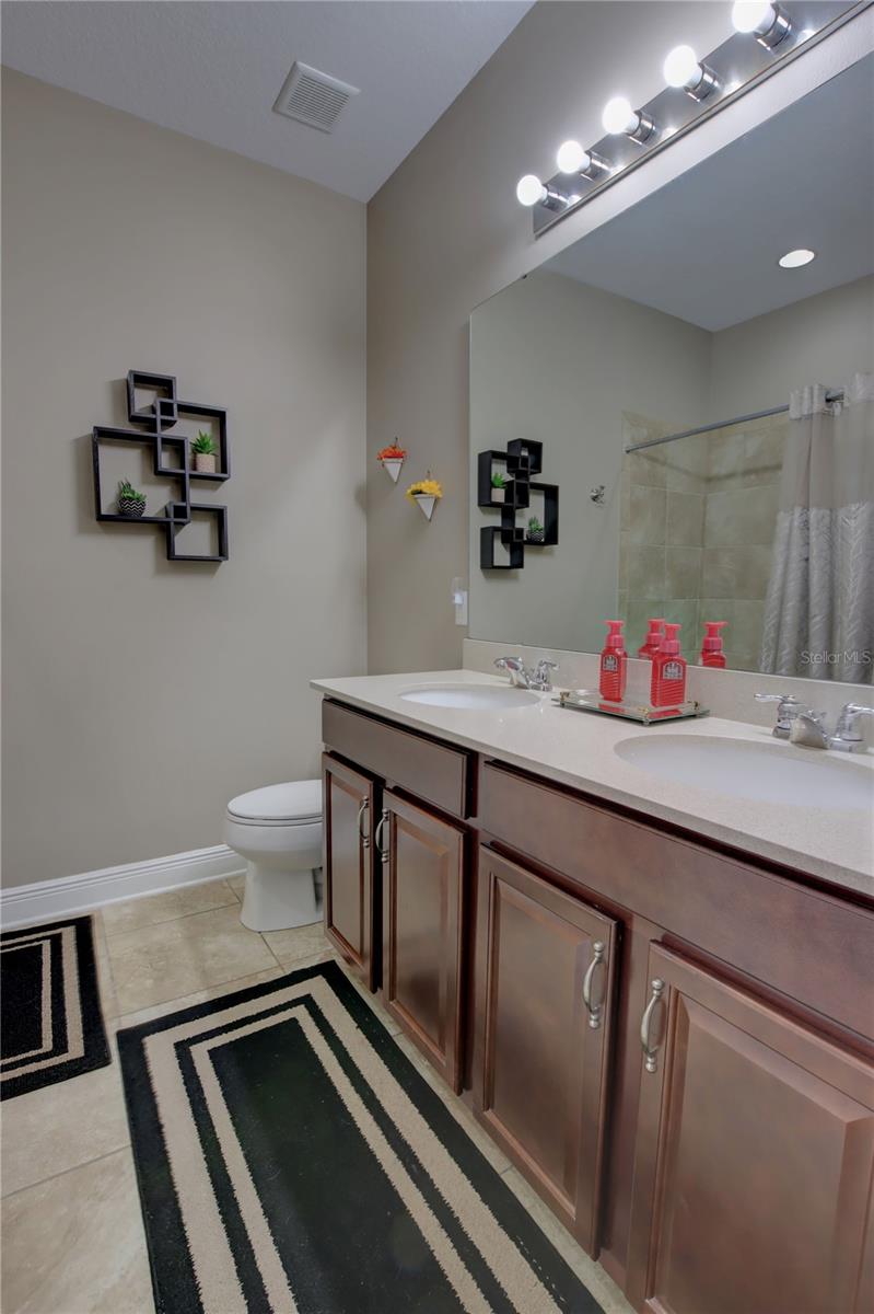 2518 HAYDEN VALLEY ST, APOPKA, FL, 32703