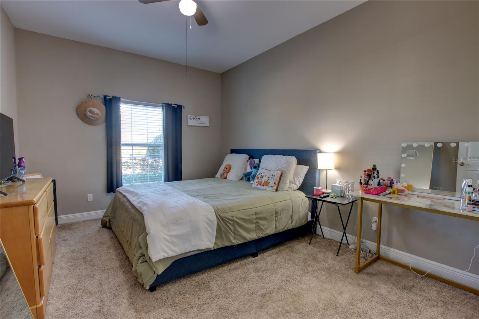2518 HAYDEN VALLEY ST, APOPKA, FL, 32703
