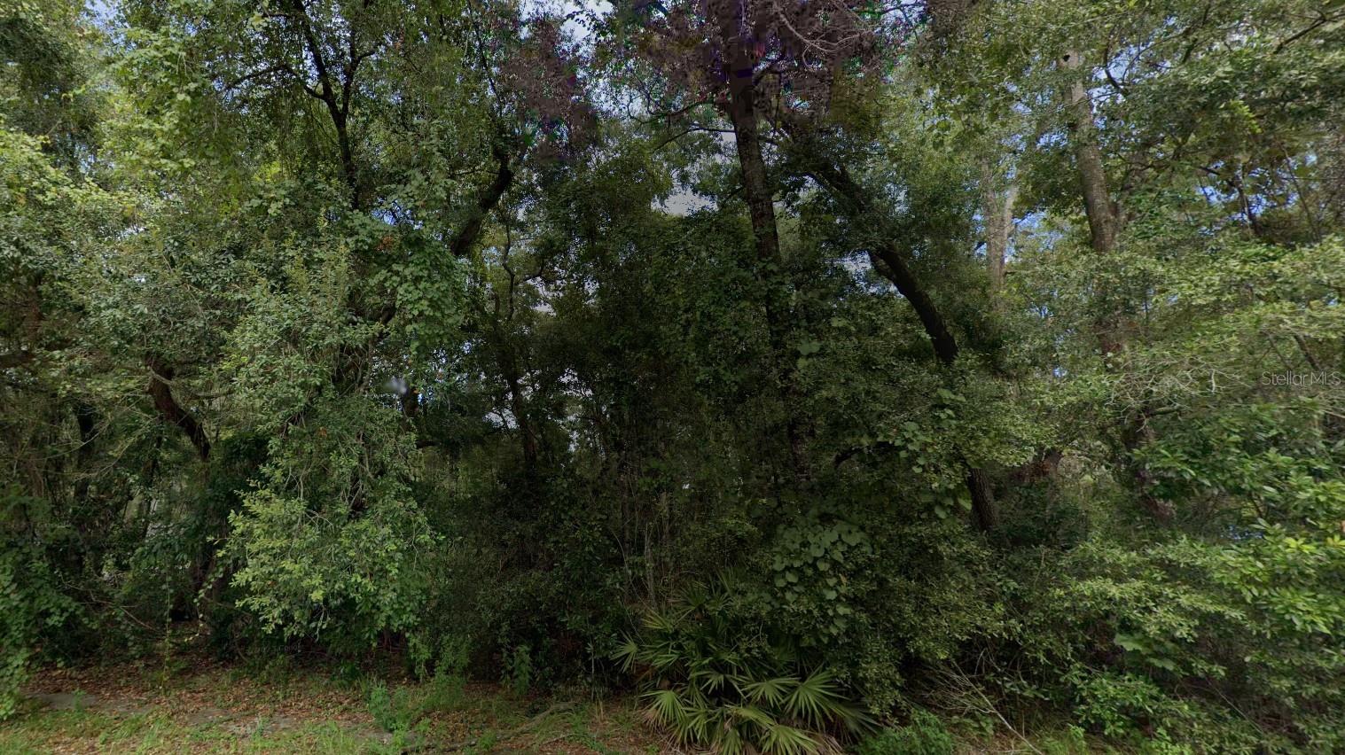 NW 84TH TERRACE, FANNING SPRINGS, FL, 32693