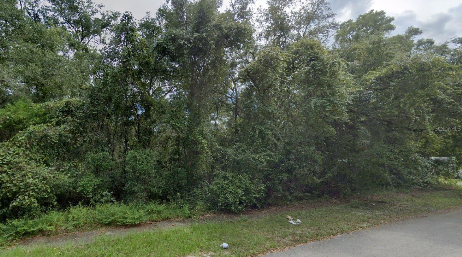 NW 84TH TERRACE, FANNING SPRINGS, FL, 32693