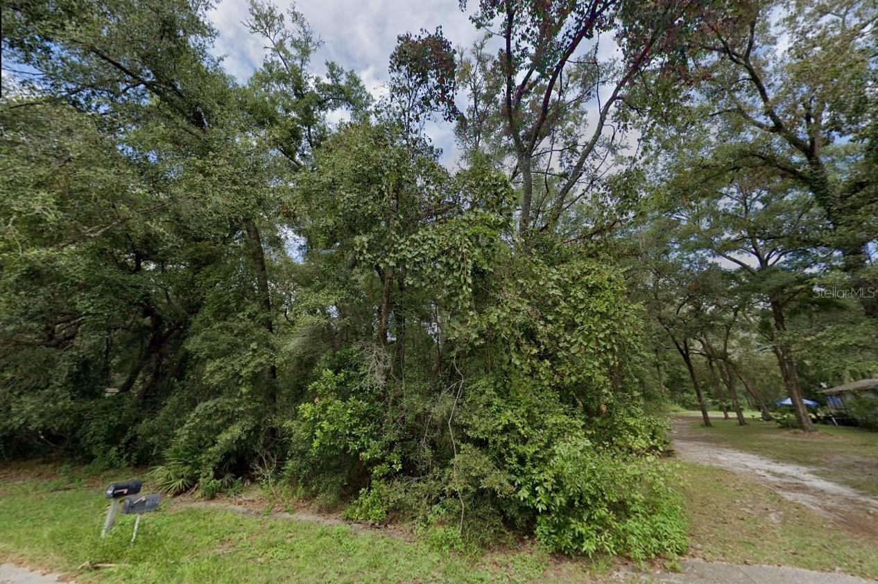 NW 84 TERRACE, FANNING SPRINGS, FL, 32693