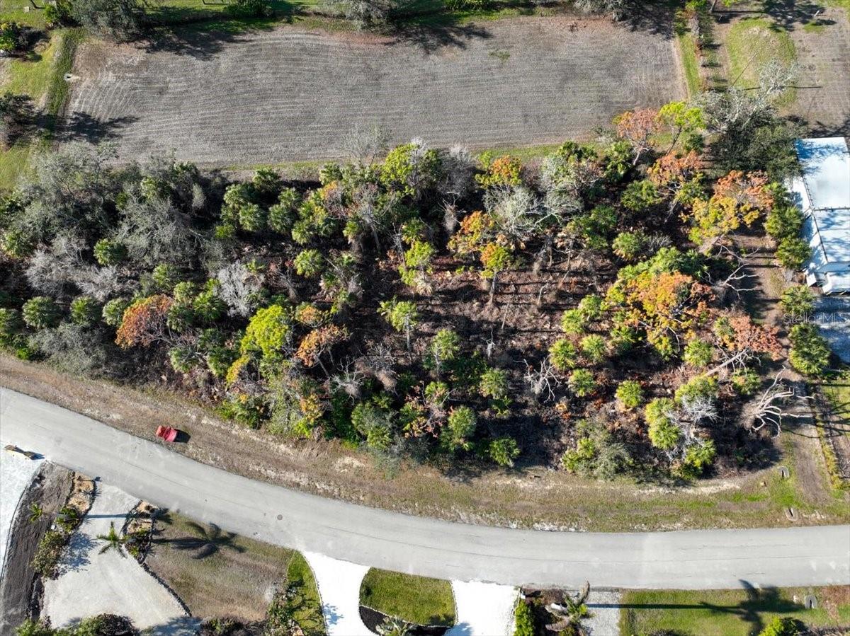 10081 CREEKSIDE DR, PLACIDA, FL, 33946