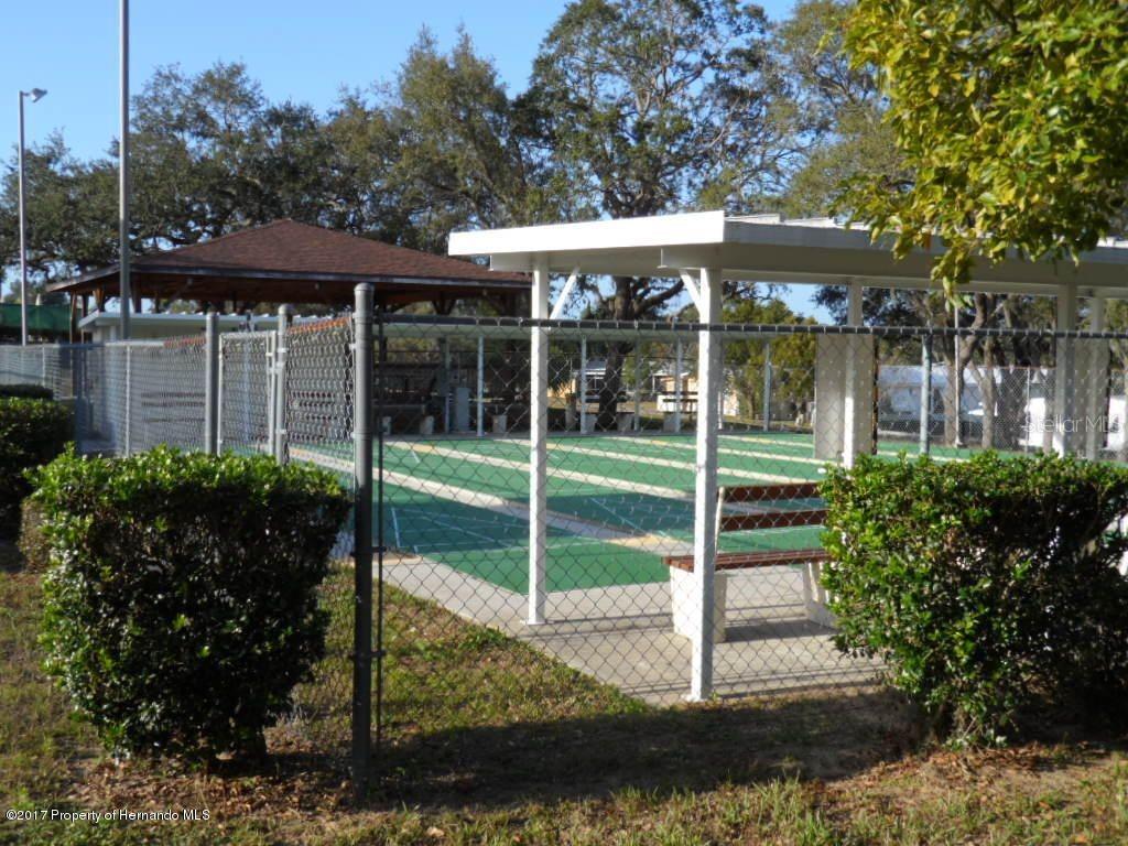 14101 DELSILVER DR, BROOKSVILLE, FL, 34613