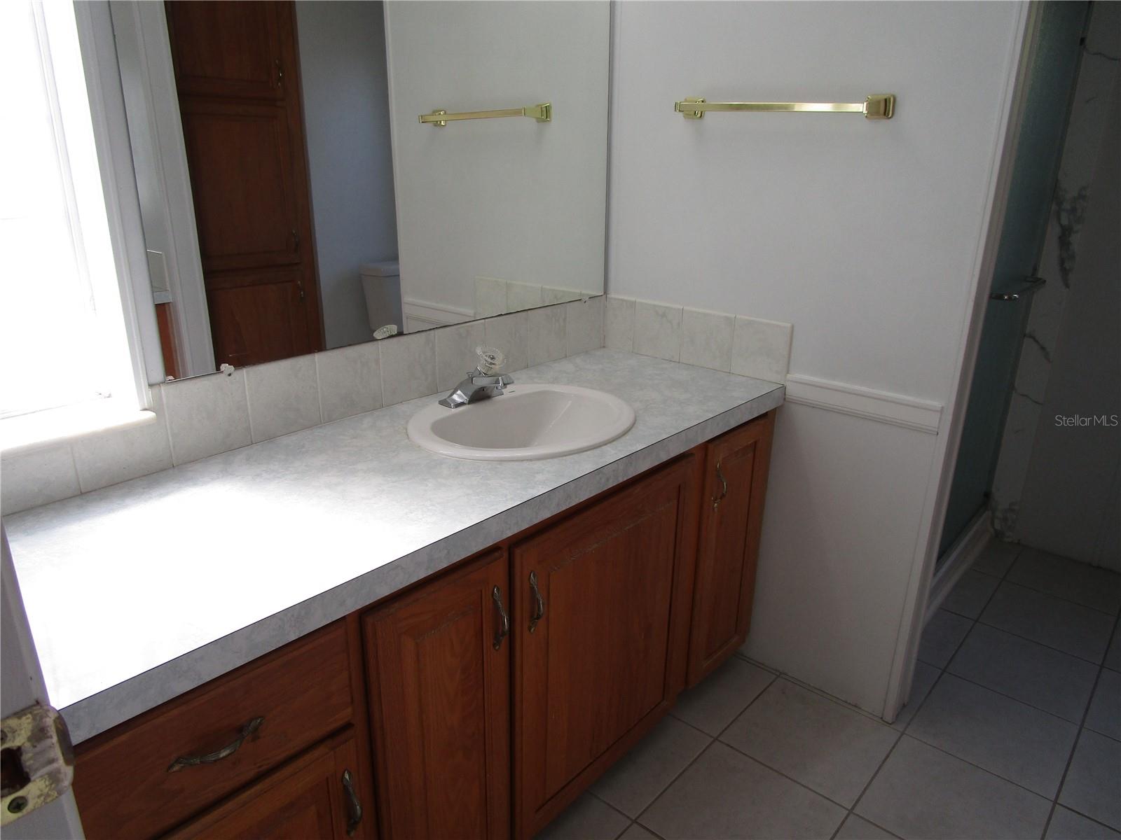 14101 DELSILVER DR, BROOKSVILLE, FL, 34613