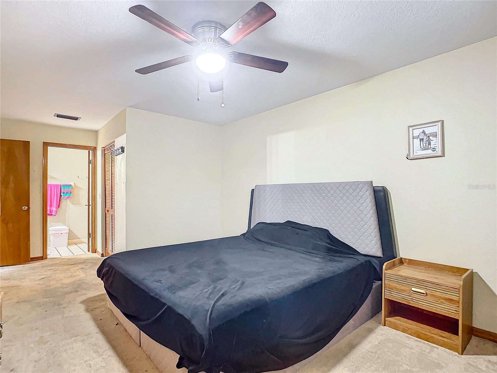 347 CASTLEWOOD LN, NEW SMYRNA BEACH, FL, 32168