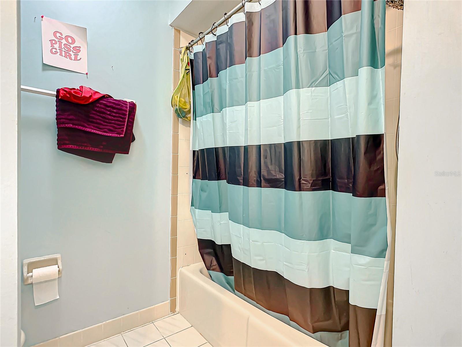 347 CASTLEWOOD LN, NEW SMYRNA BEACH, FL, 32168