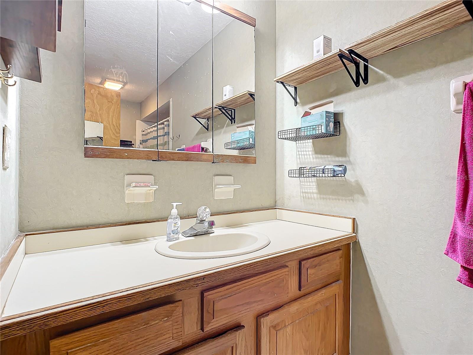 347 CASTLEWOOD LN, NEW SMYRNA BEACH, FL, 32168