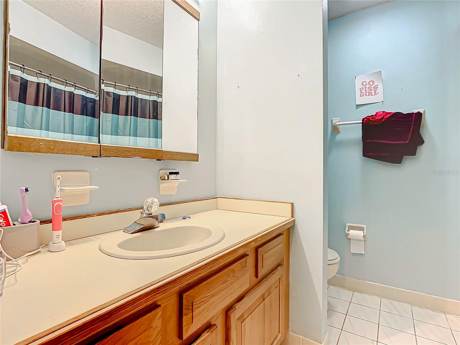 347 CASTLEWOOD LN, NEW SMYRNA BEACH, FL, 32168