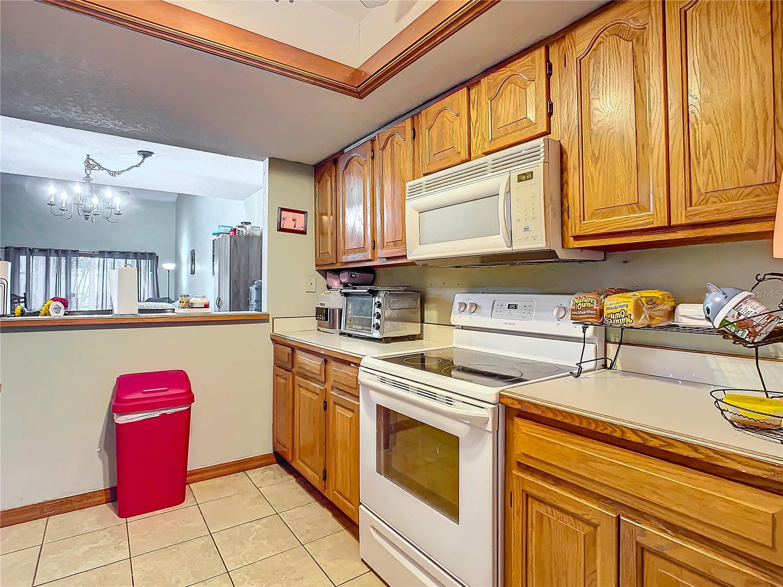 347 CASTLEWOOD LN, NEW SMYRNA BEACH, FL, 32168