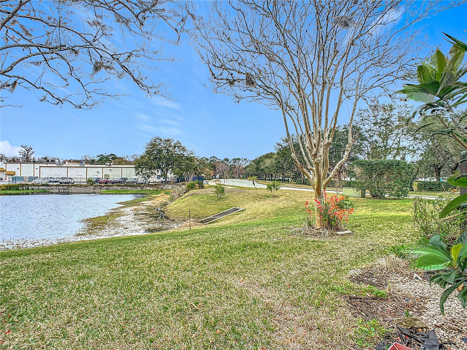 347 CASTLEWOOD LN, NEW SMYRNA BEACH, FL, 32168
