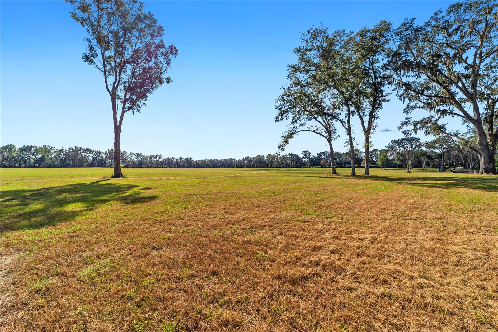 5620 NW 95TH ST, OCALA, FL, 34482