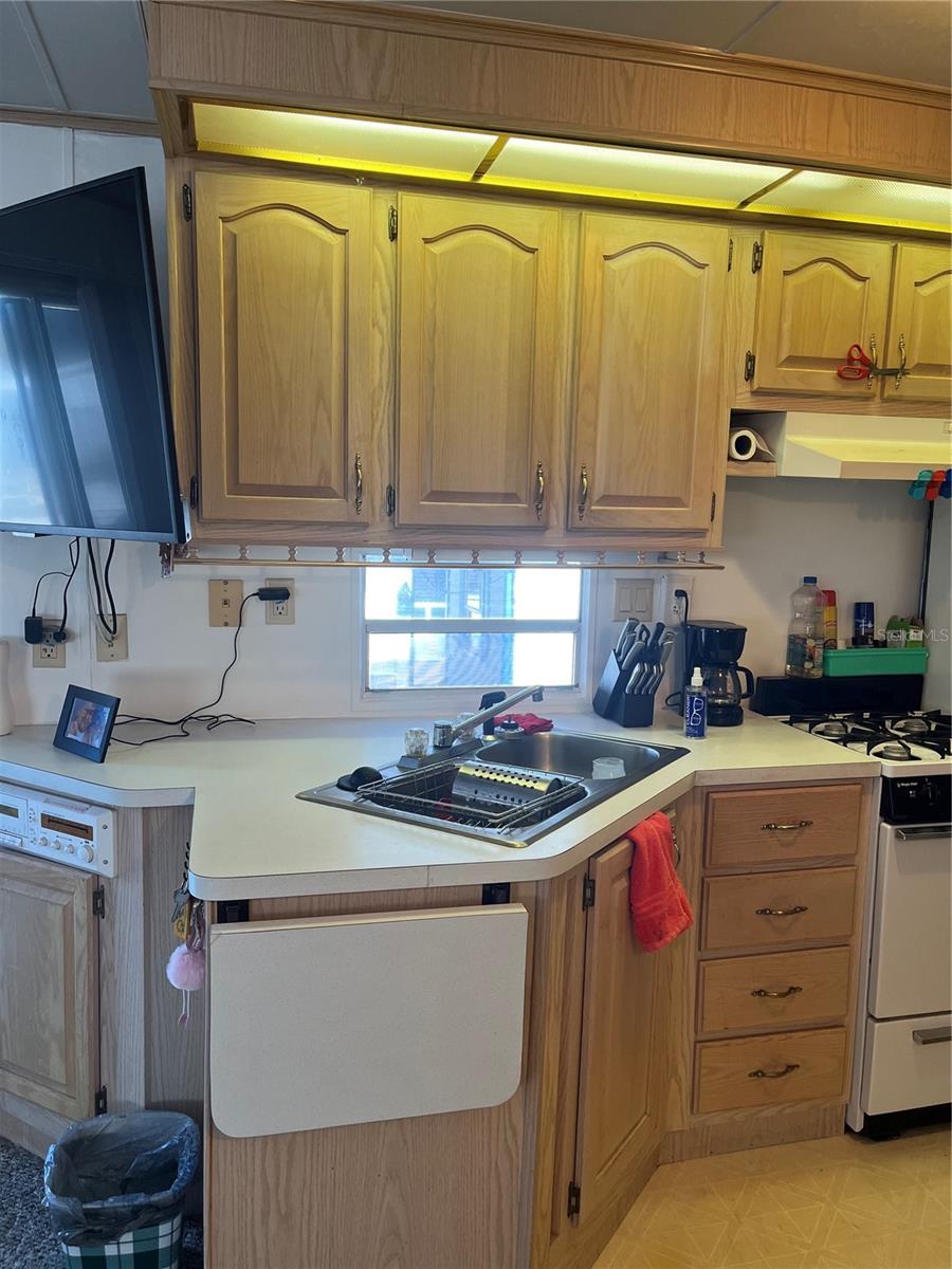 38220 ORIOLE WAY, LEESBURG, FL, 34788