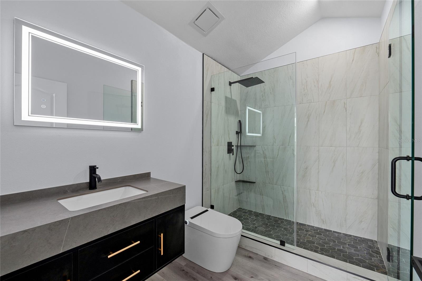 16218 SWENSON TER, LUTZ, FL, 33549
