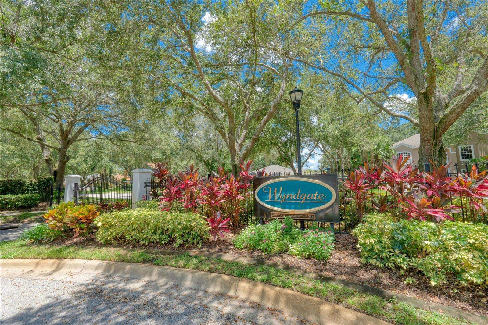 16218 SWENSON TER, LUTZ, FL, 33549
