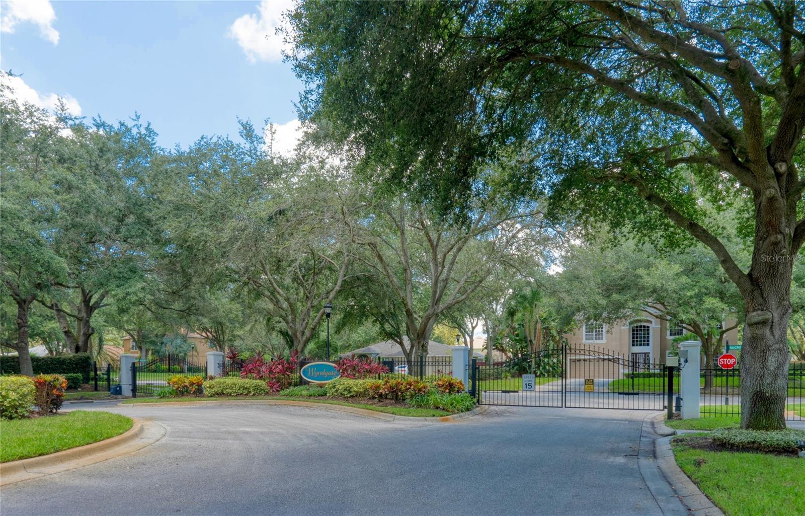 16218 SWENSON TER, LUTZ, FL, 33549