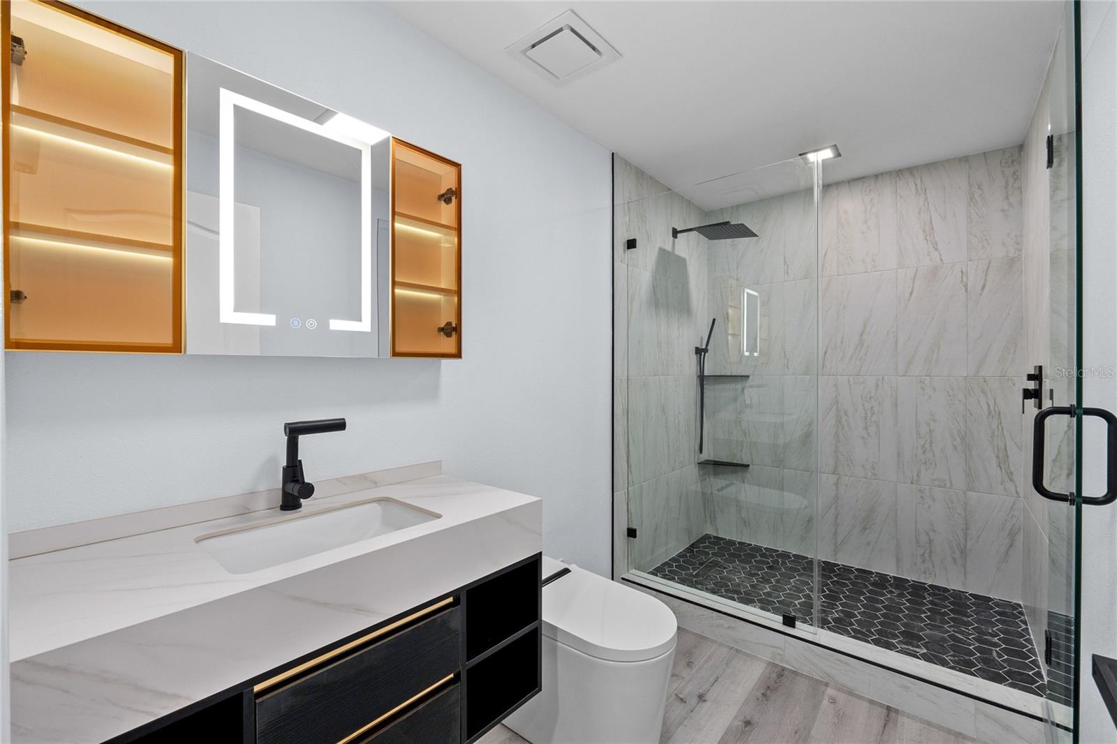 16218 SWENSON TER, LUTZ, FL, 33549