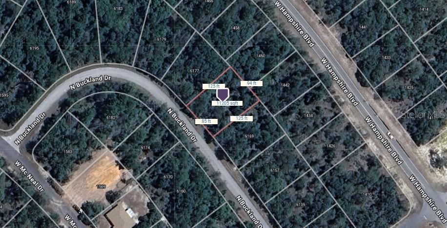 6171 N BUCKLAND DR, CITRUS SPRINGS, FL, 34434