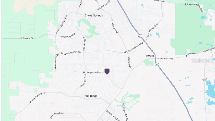 6171 N BUCKLAND DR, CITRUS SPRINGS, FL, 34434