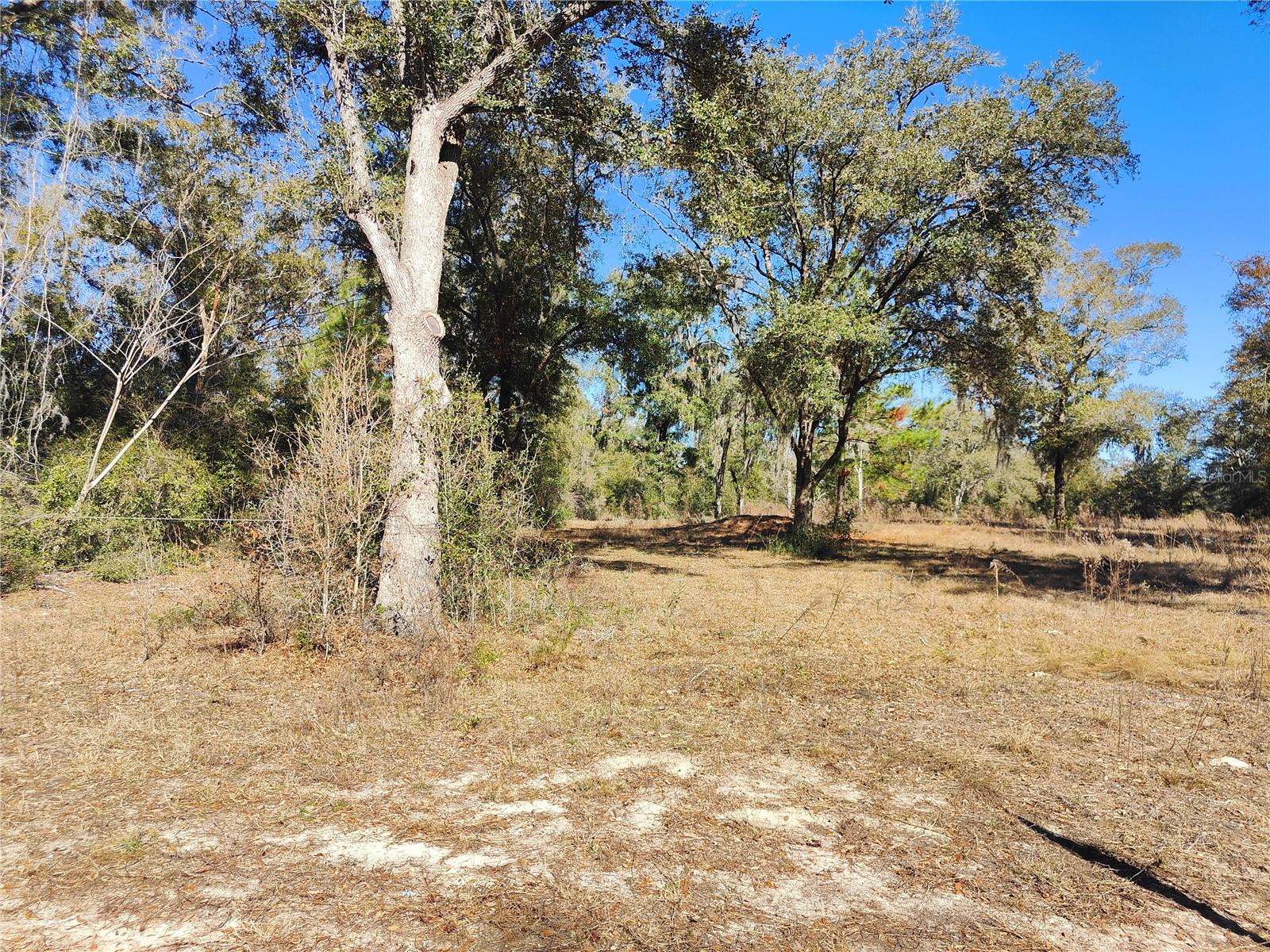 NE 127 PL, BRONSON, FL, 32621