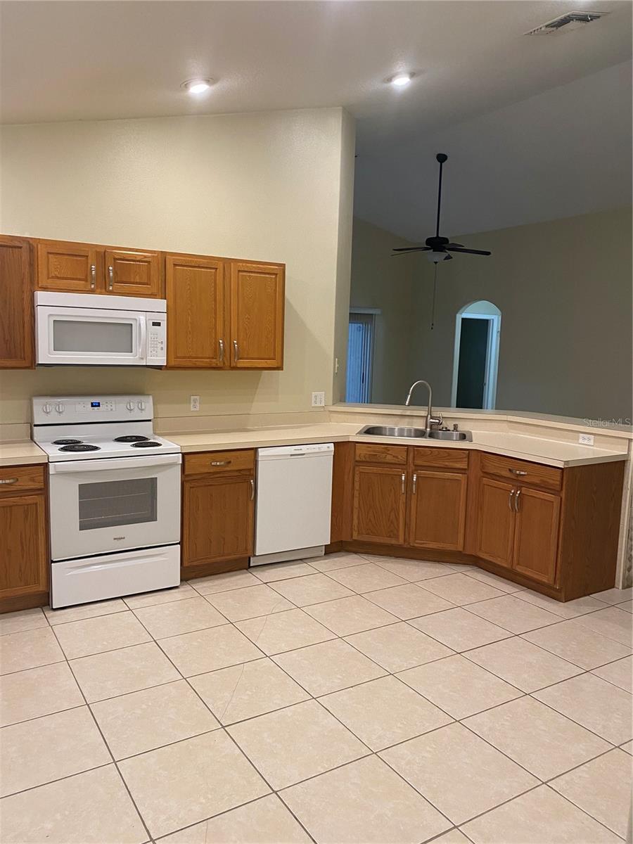 317 SILVER PALMS CIR, DAVENPORT, FL, 33837