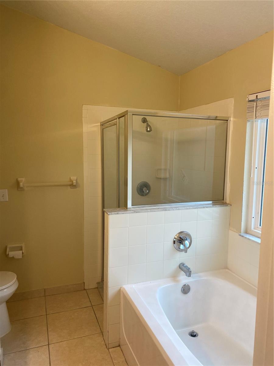 317 SILVER PALMS CIR, DAVENPORT, FL, 33837