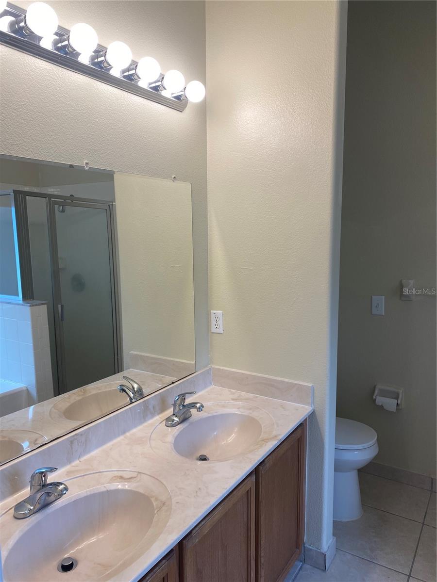 317 SILVER PALMS CIR, DAVENPORT, FL, 33837
