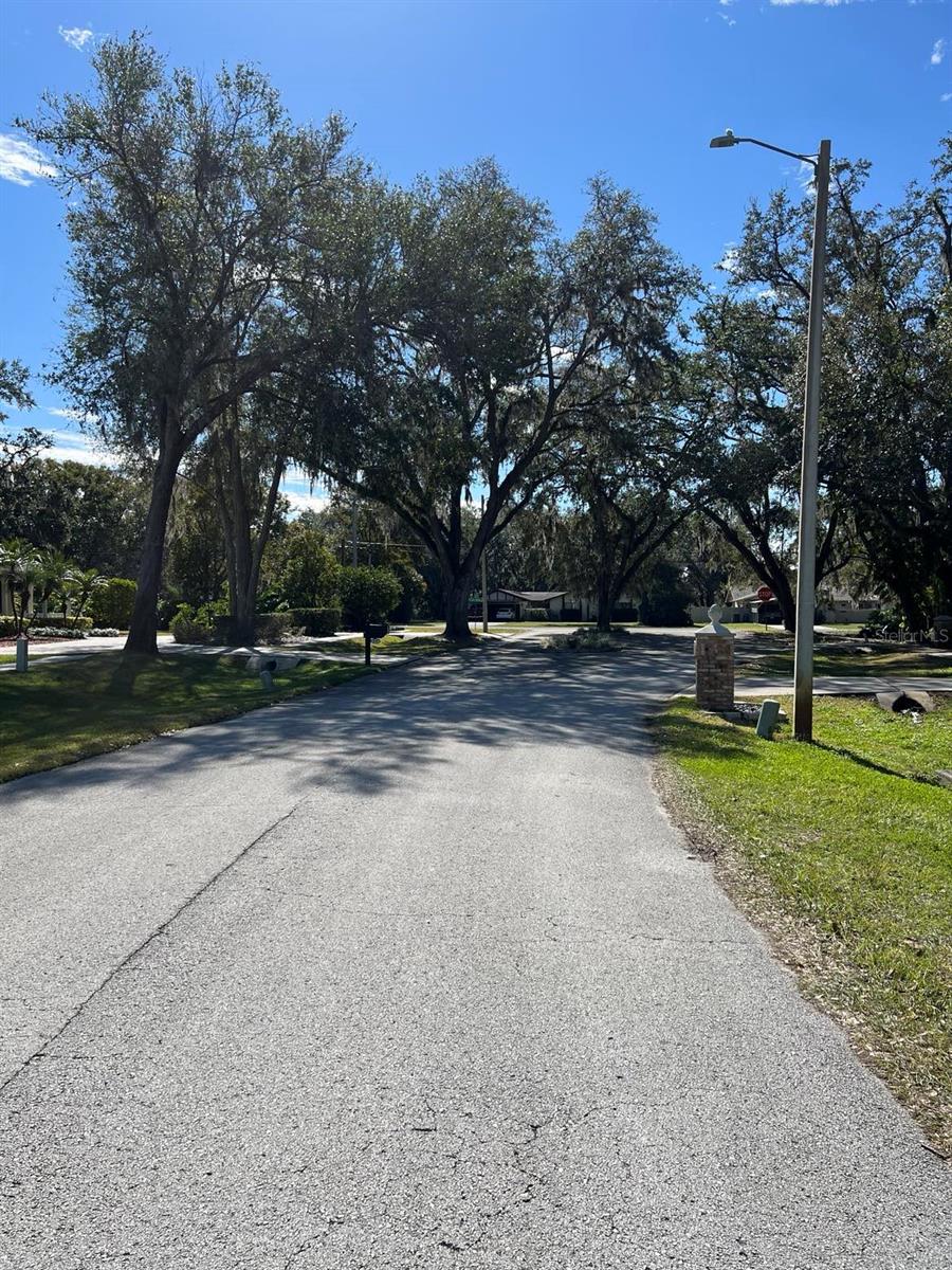 3526 SAM ALLEN OAKS CIR, PLANT CITY, FL, 33565