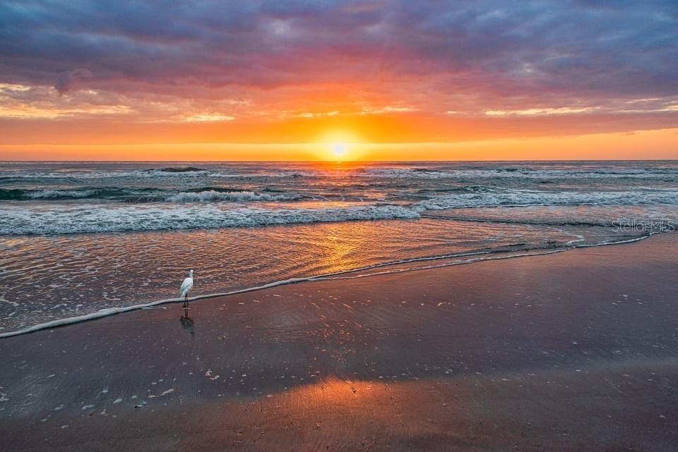 3737 S ATLANTIC AVE #504, DAYTONA BEACH, FL, 32118