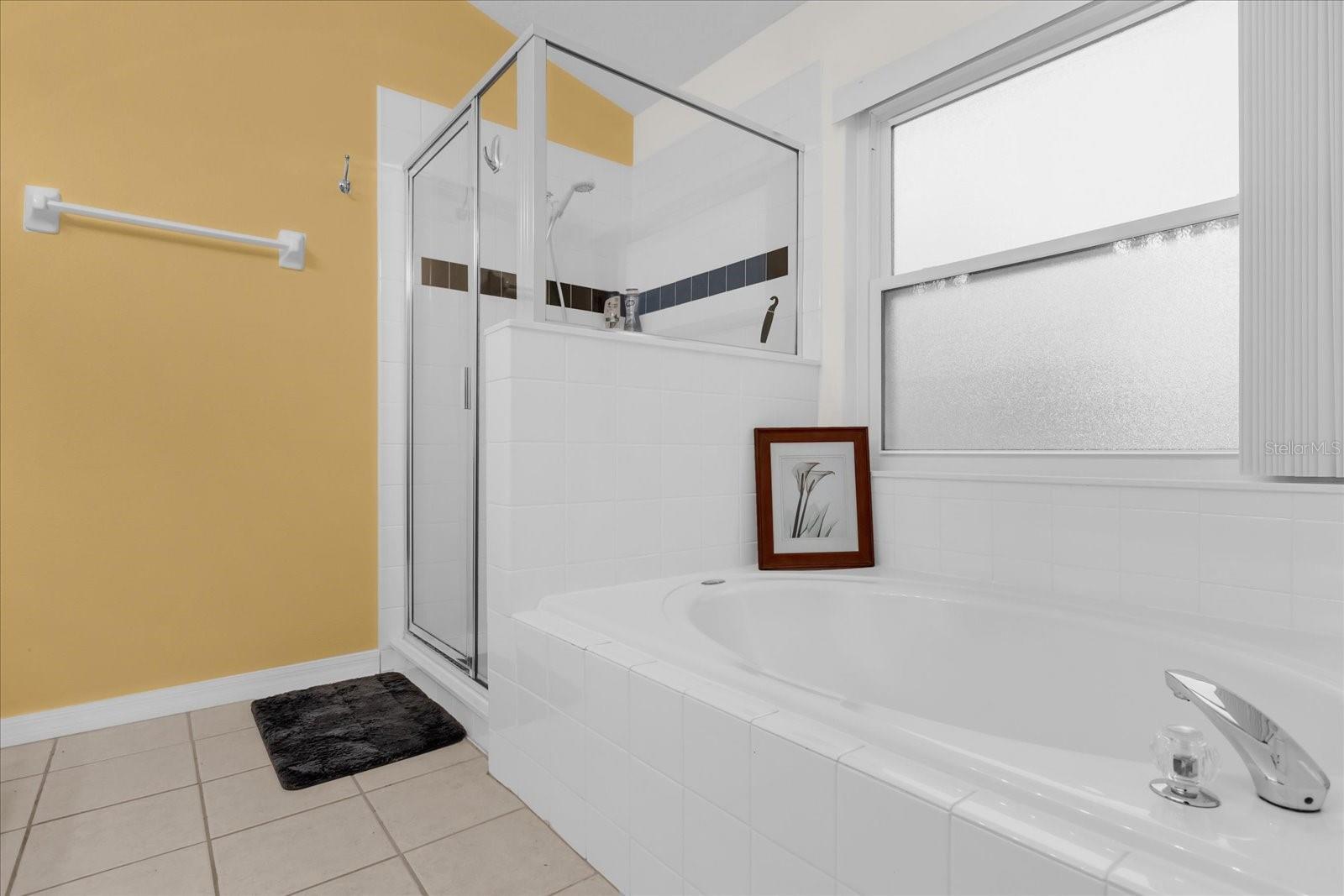 1037 BALMORAL DR, DAVENPORT, FL, 33896