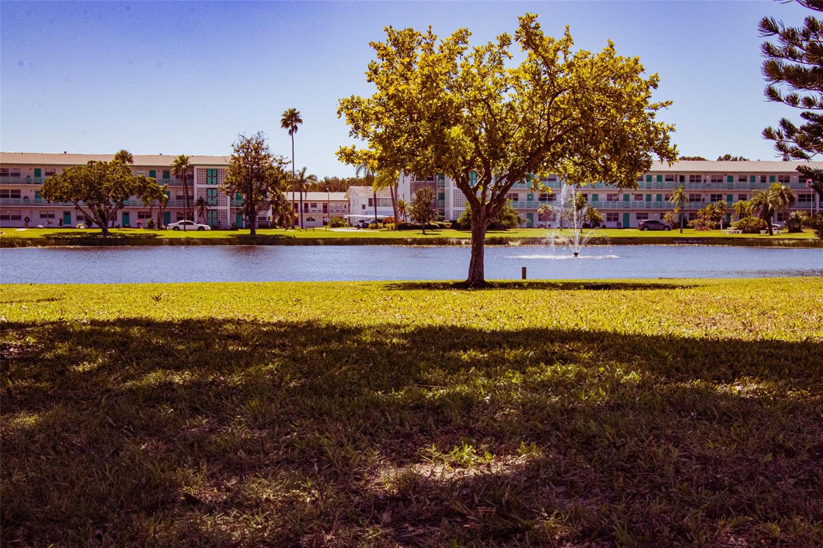 1950 59TH AVE N #110, ST PETERSBURG, FL, 33714