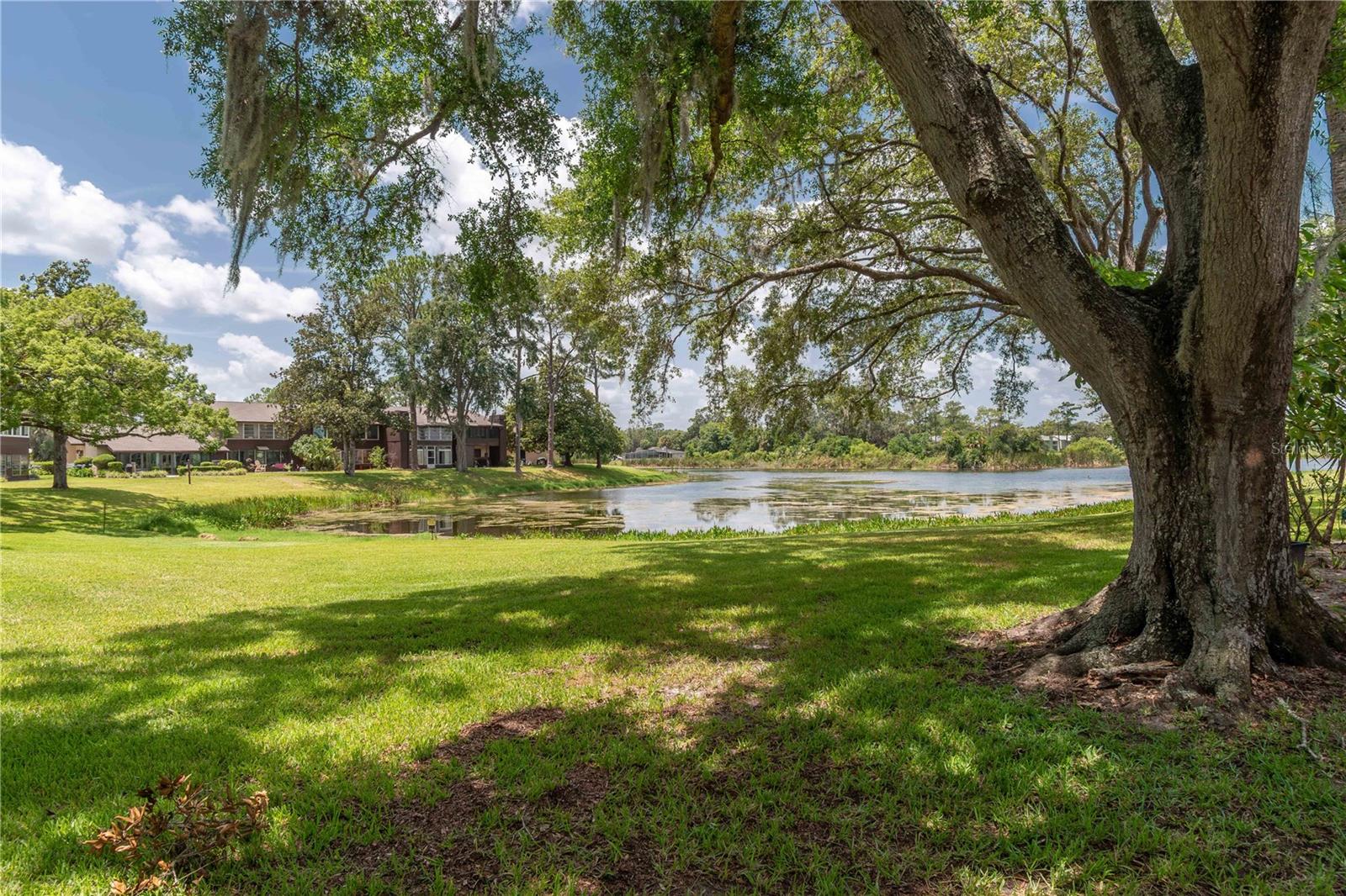 605 MIDWAY DR #B, OCALA, FL, 34472