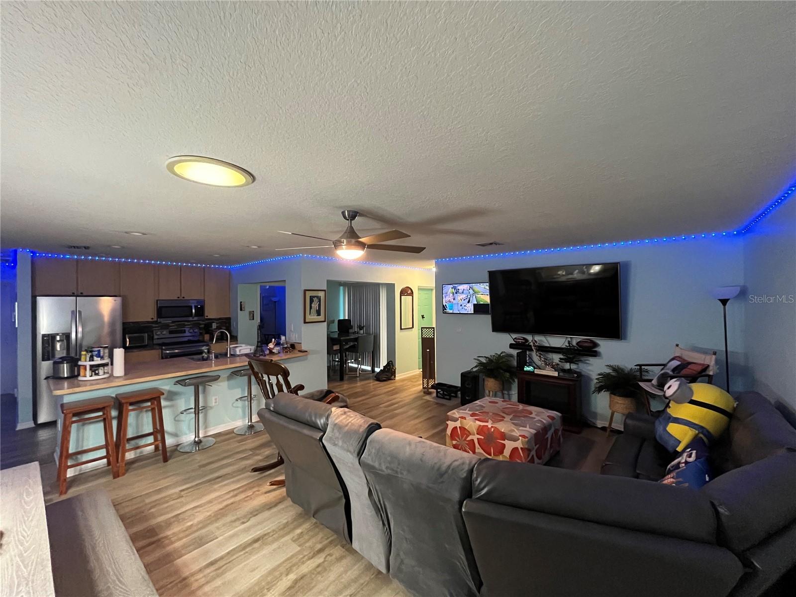 1017 WILLOW DR, LEESBURG, FL, 34748