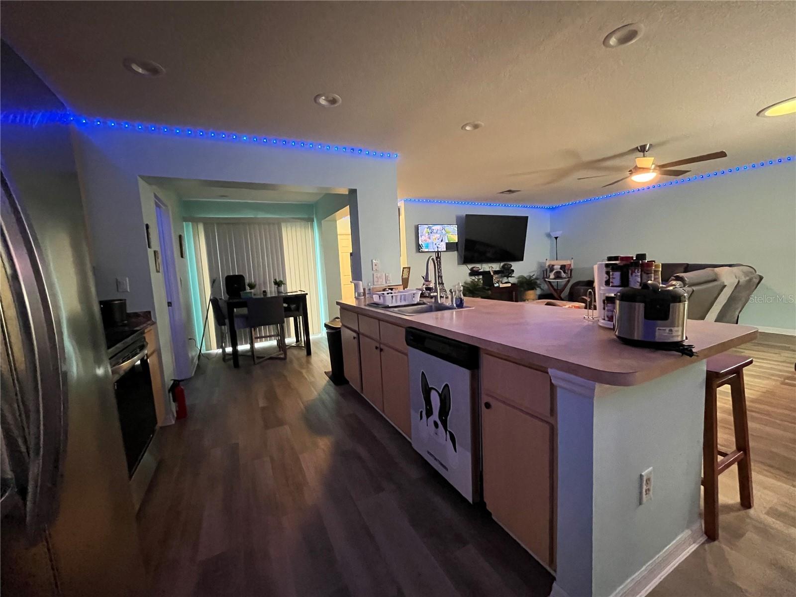1017 WILLOW DR, LEESBURG, FL, 34748