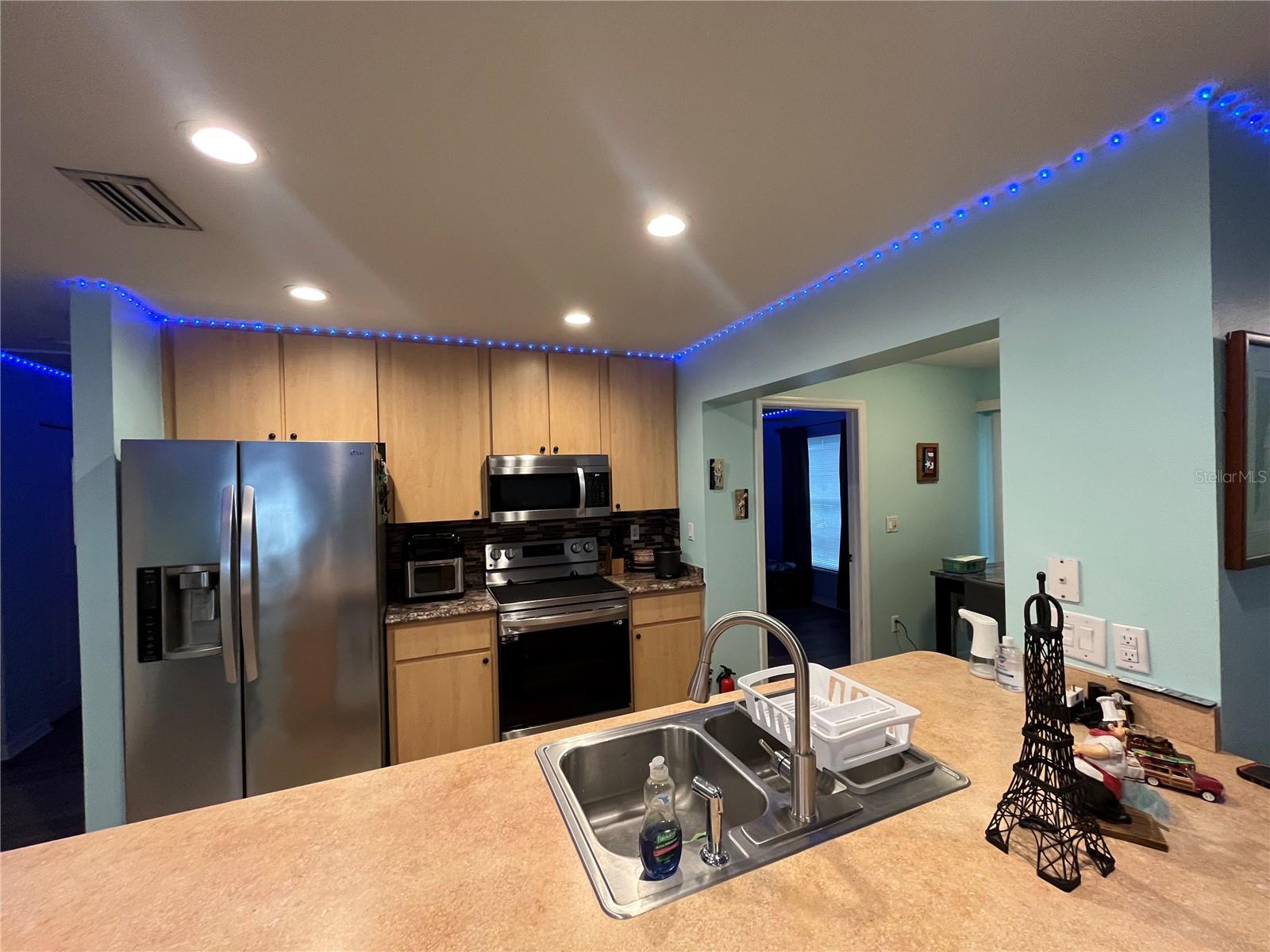 1017 WILLOW DR, LEESBURG, FL, 34748